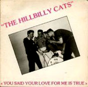 HILLBILLY CATS