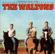 Thank God For The Waltons