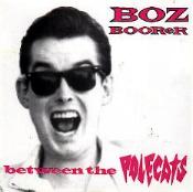 BOZ BOORER - BETWEEN THE POLECATS