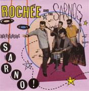 Understanding Sarno! - CD
