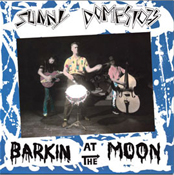 Barkin At The Moon